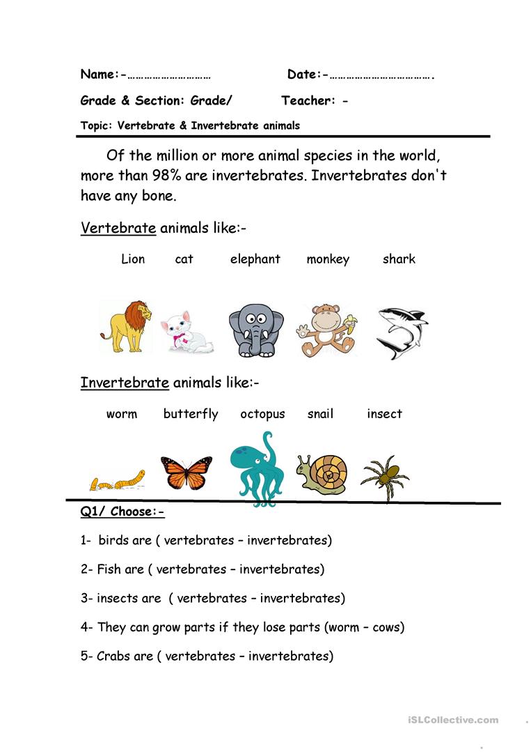 9 Free Esl Vertebrate Worksheets