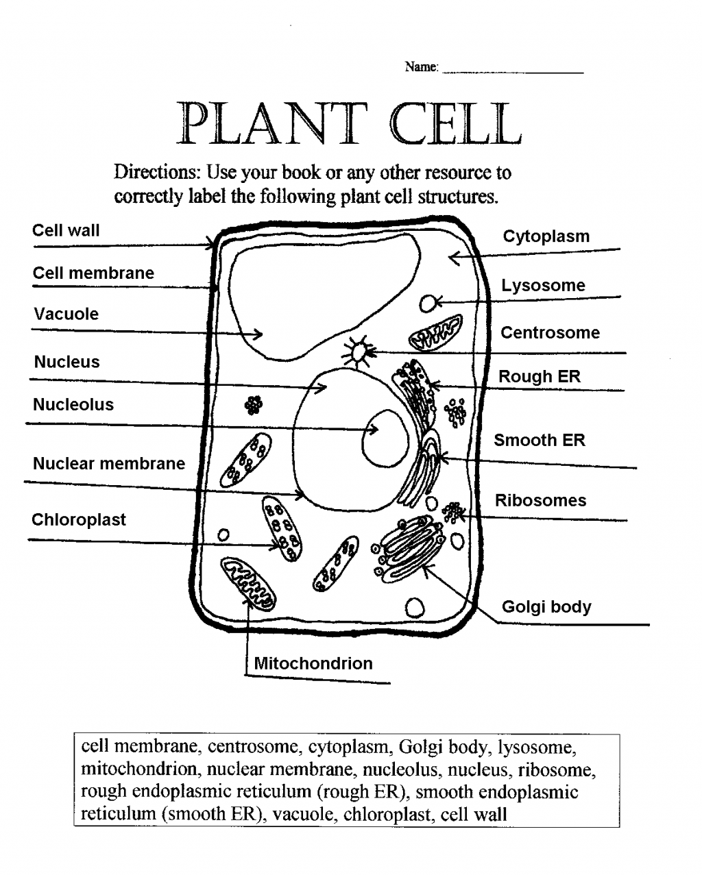 Plant Cell Labeling Worksheet Free Worksheets Library