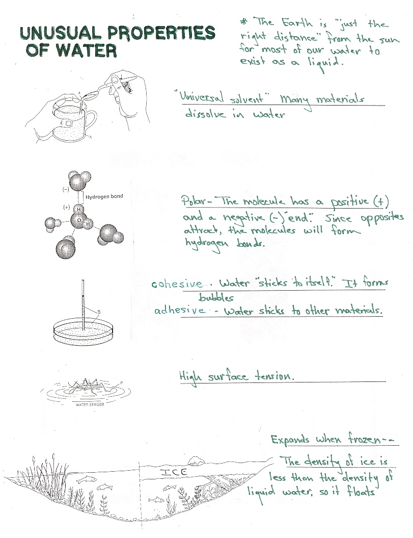 Properties Of Water Worksheet Free Worksheets Library