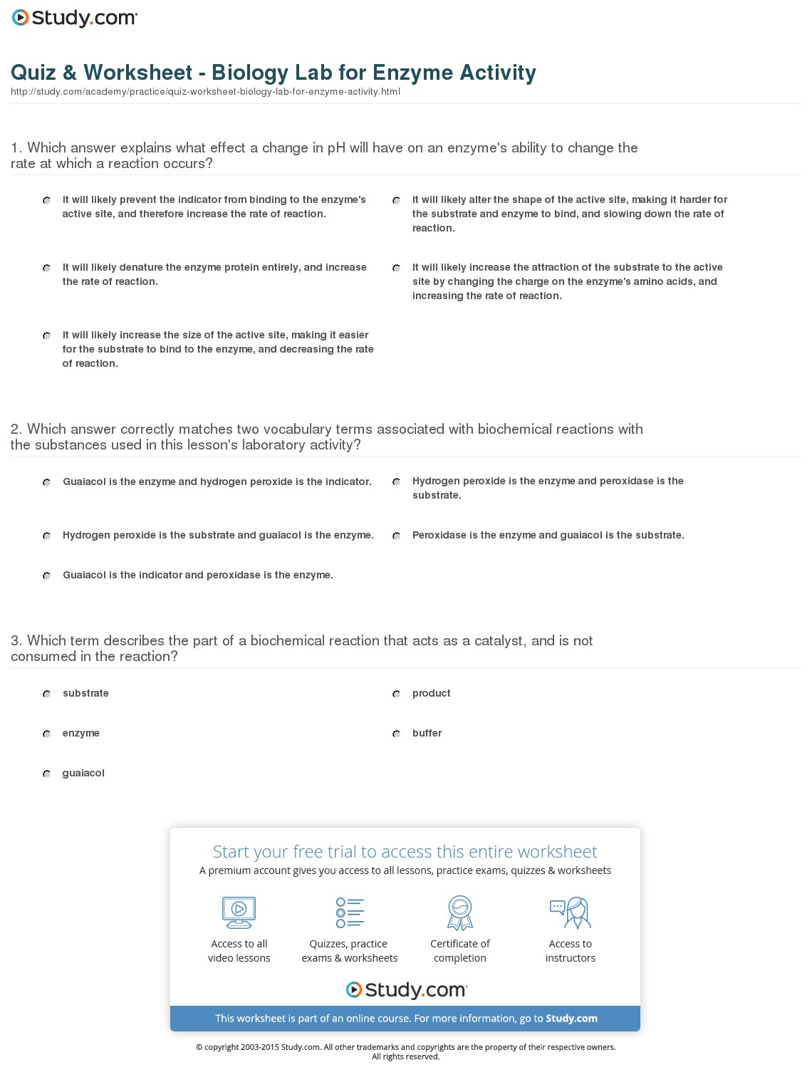 Understanding Enzymes Worksheets