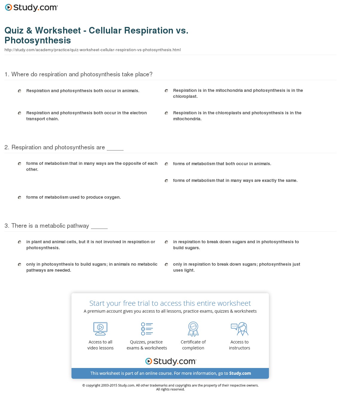 Quiz & Worksheet