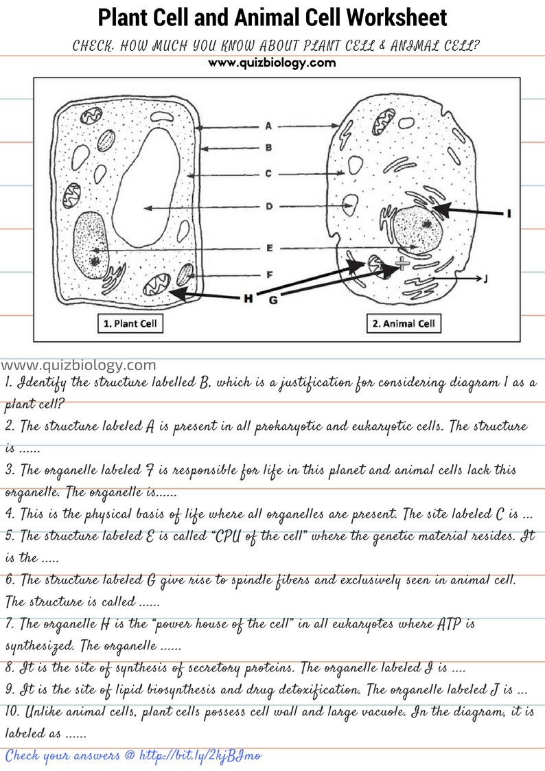 Worksheets For All