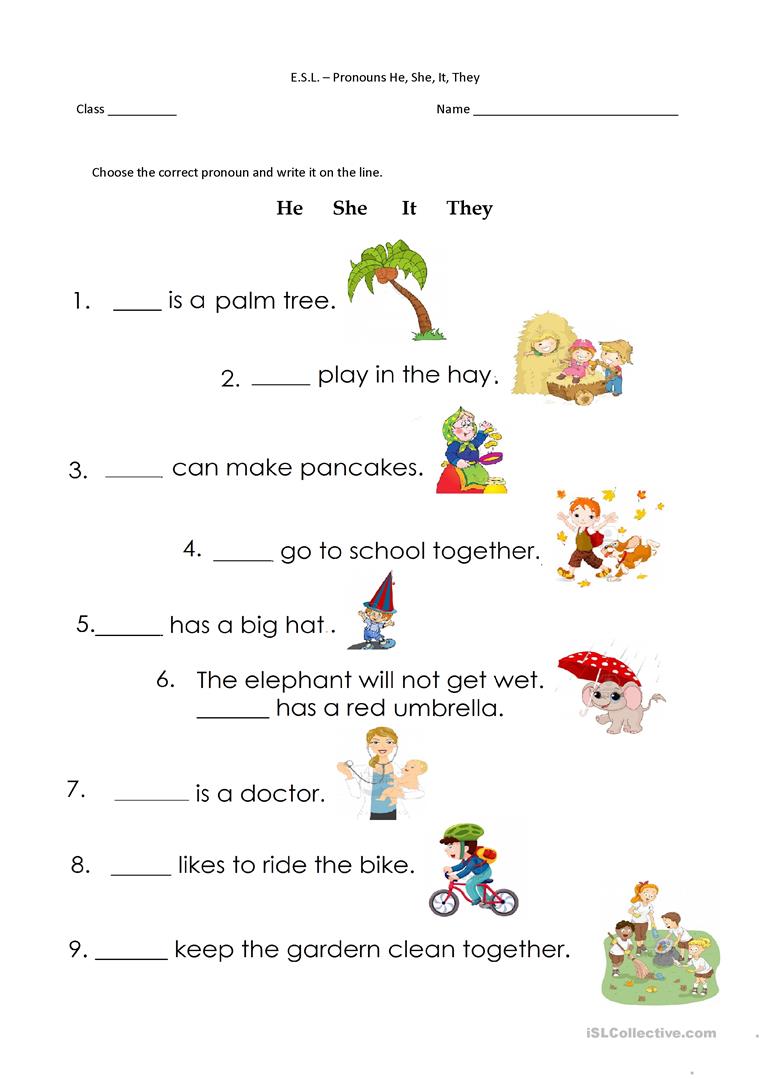 11 Free Esl He She It They Worksheets