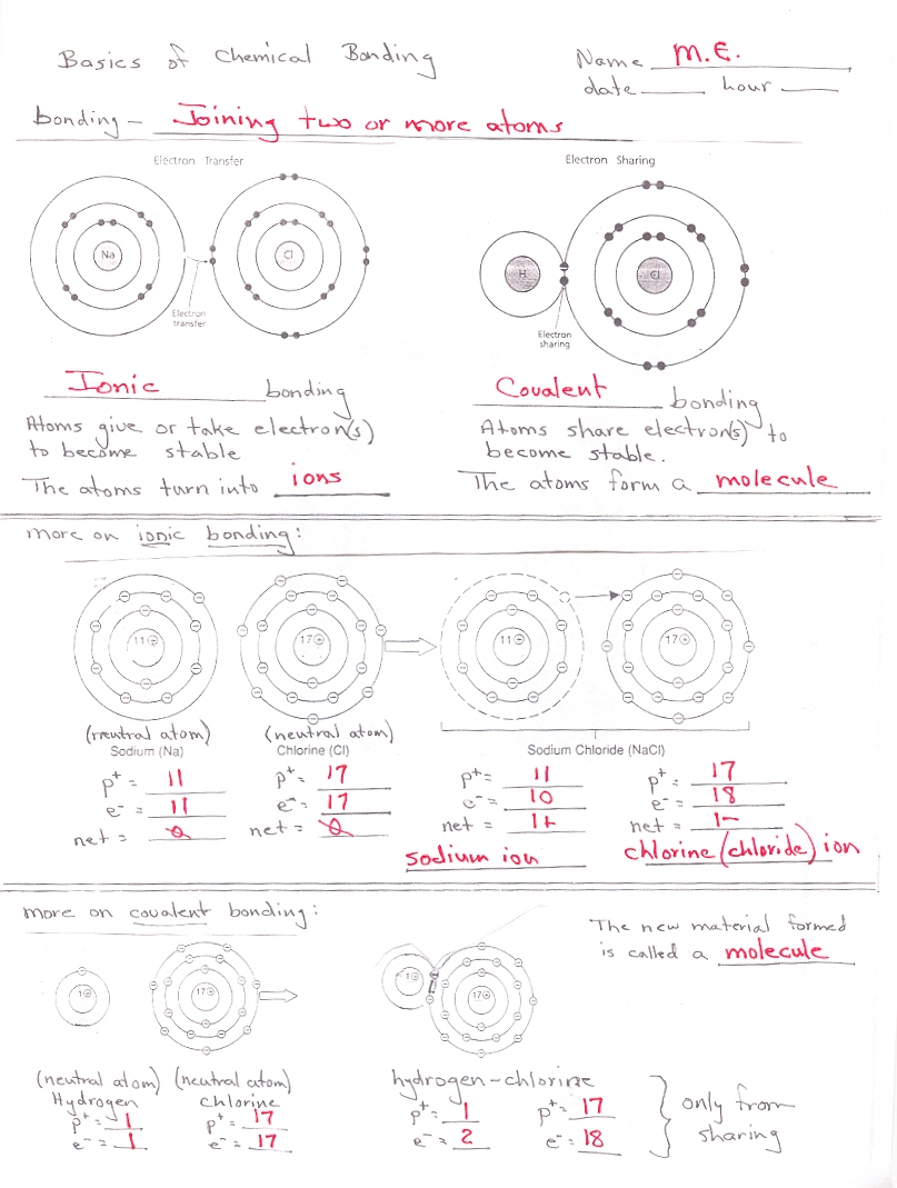 Biology I Cp