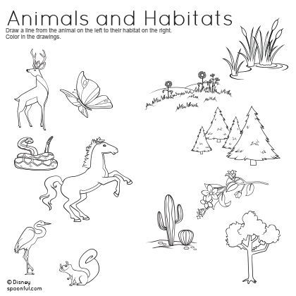 Animal Habitat Worksheets For Kindergarten 128951