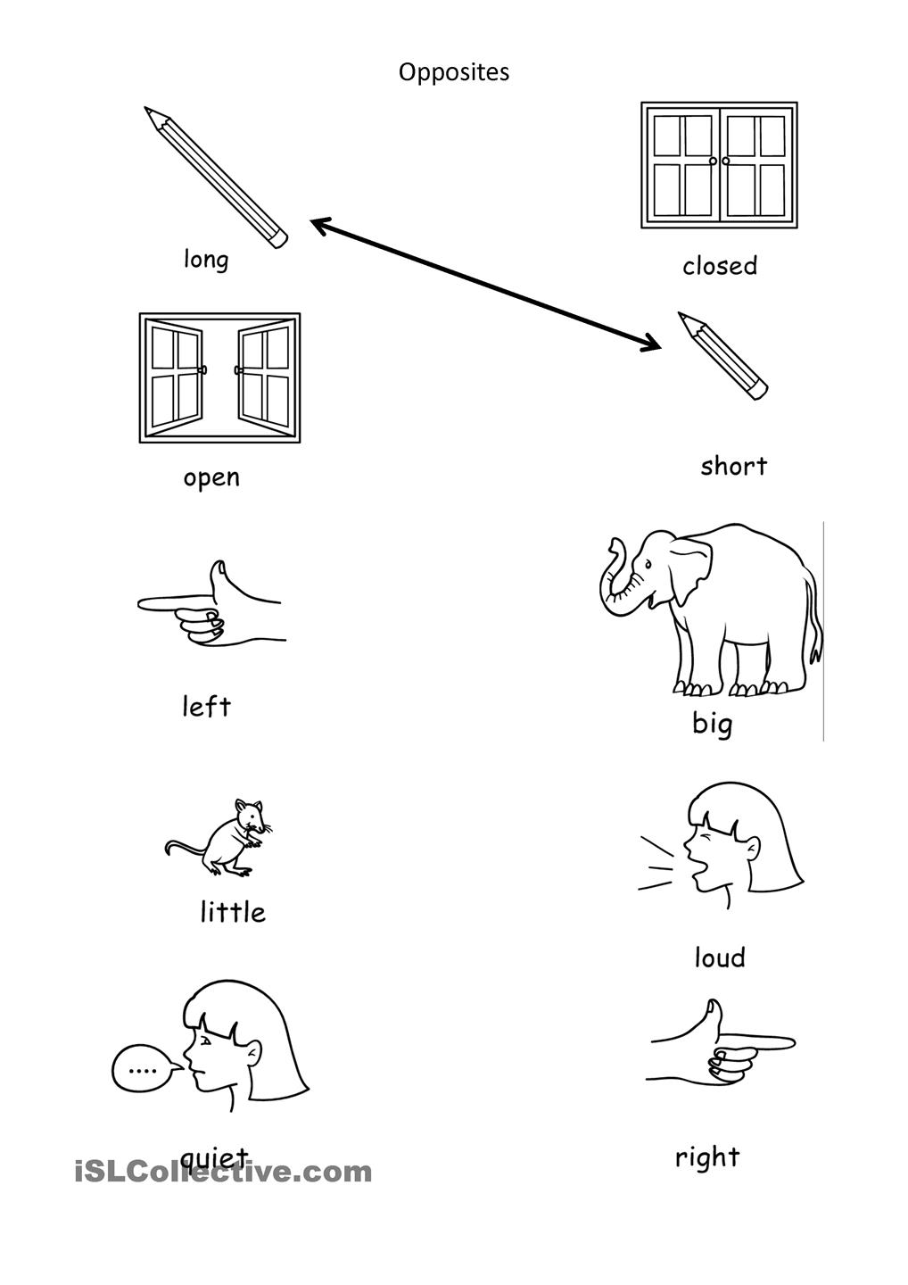 Kindergarten English Grammar Worksheet Printable Antonyms Matching