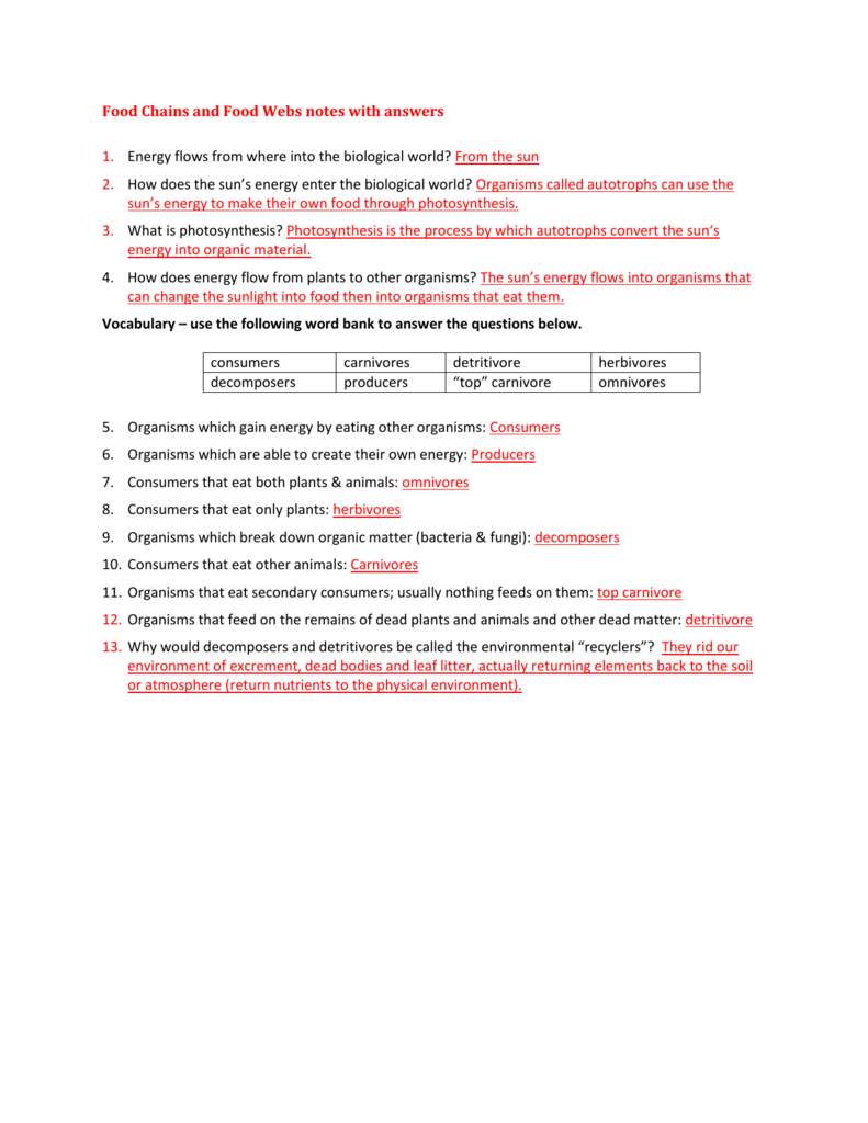 Ecological Pyramids Notes With Answers