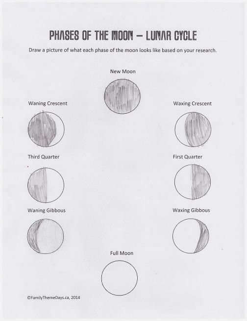 Moon Phases Worksheet