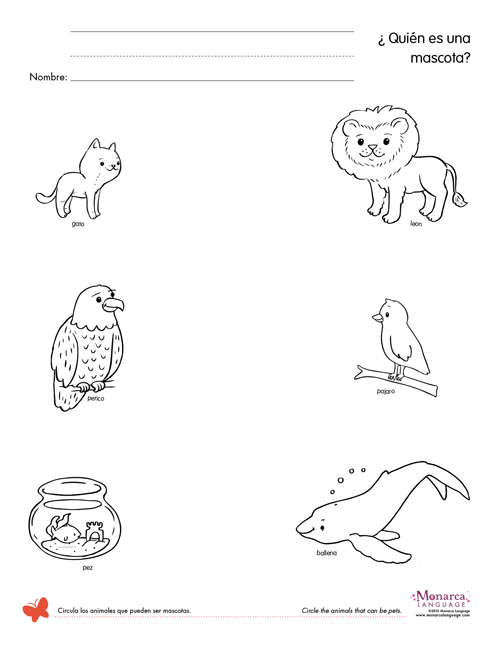 Pet Animals Worksheets