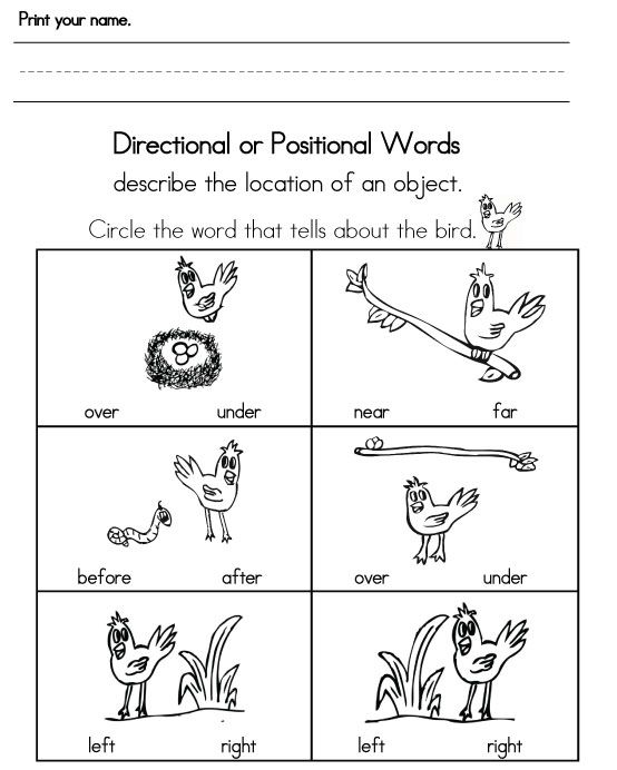 Kindergarten Positional Words Worksheet