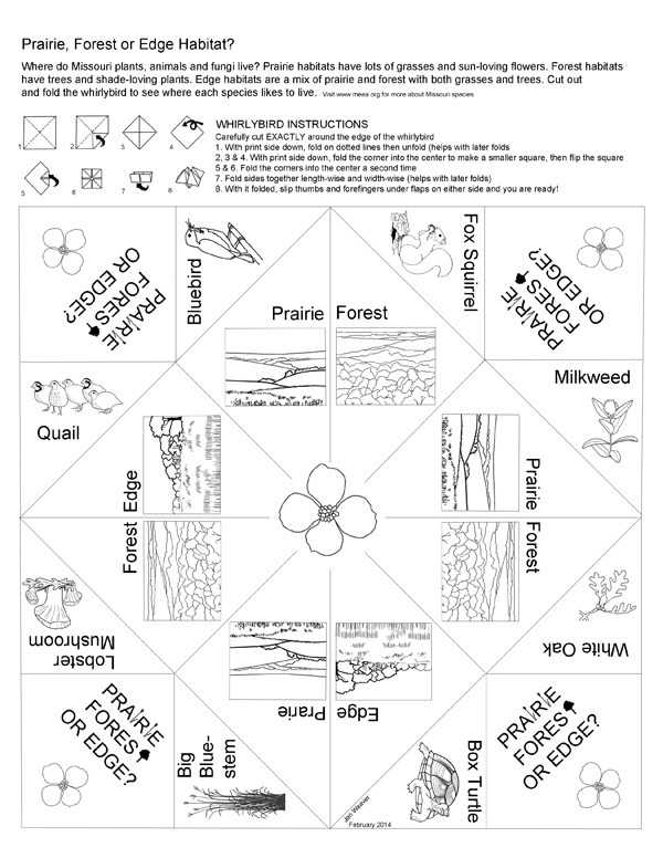 Missouri Species Coloring Sheets