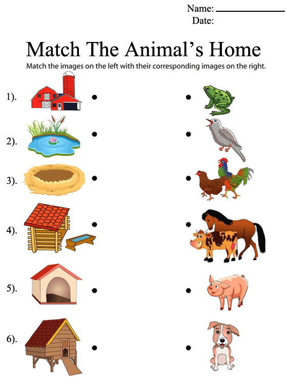 Help Animals Find Their Homes Worksheet