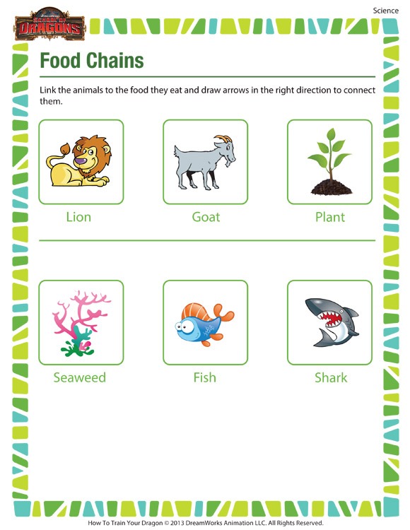 Food Chain Worksheets 1st Grade