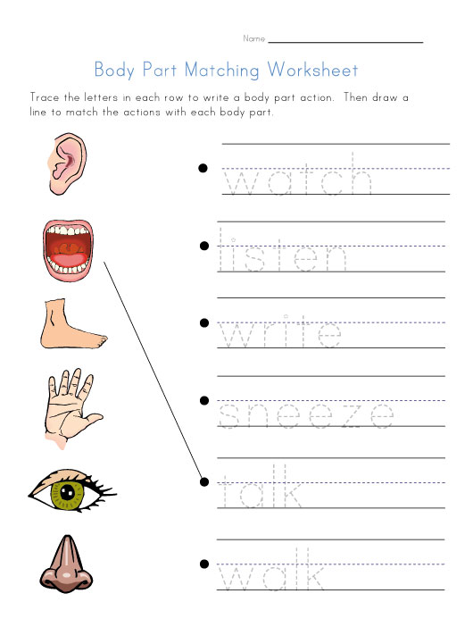 Kindergarten Activities On Body Parts Html  View And Print Your