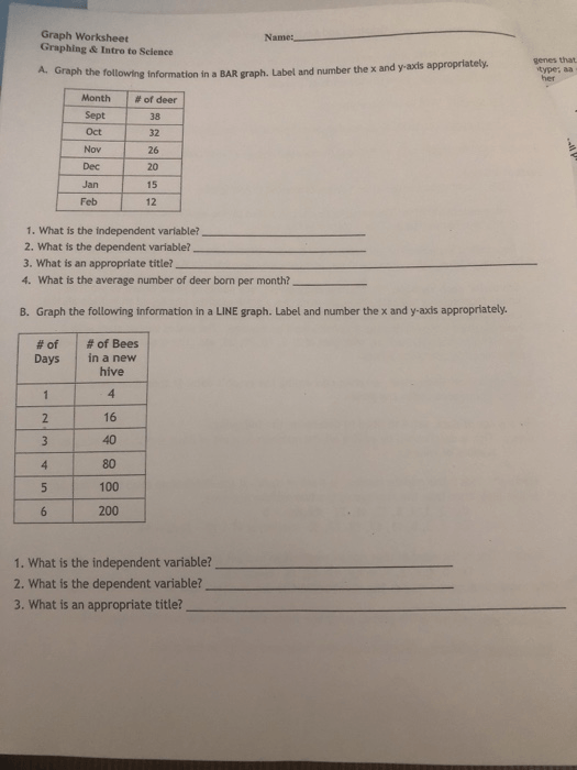 Solved  Graph Worksheet Graphing & Intro To Science Name